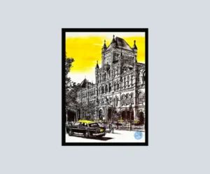 Elphinstone's Golden Hour