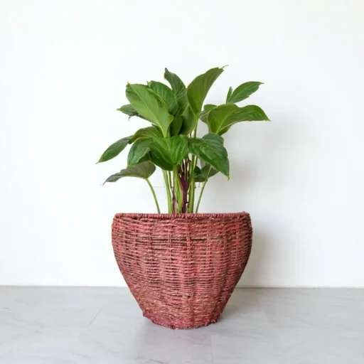 terracotta threads planter basket 1