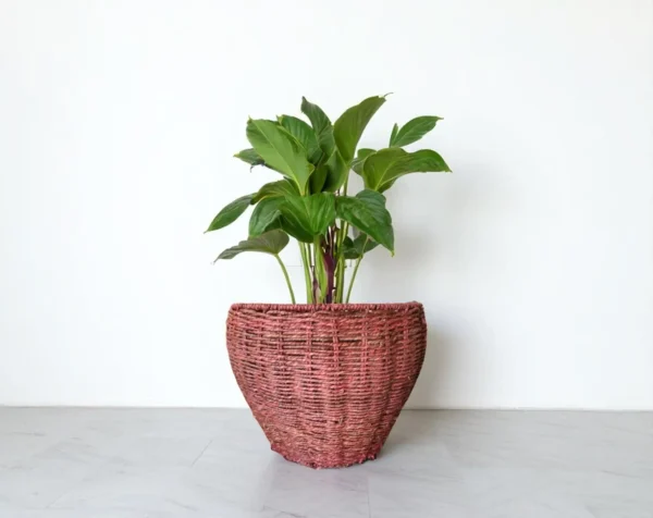 Terracotta Thread Handwoven Planter Basket - Image 2