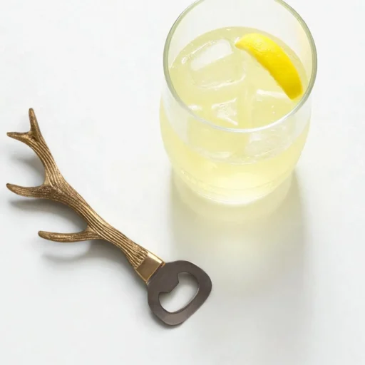 sinh bottle opener 2