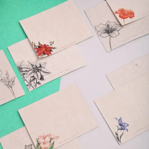 Summer 2026 Home 40 gratitude notecard set 2