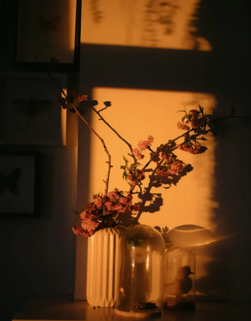 autumn evening sun scaled e1762167765676