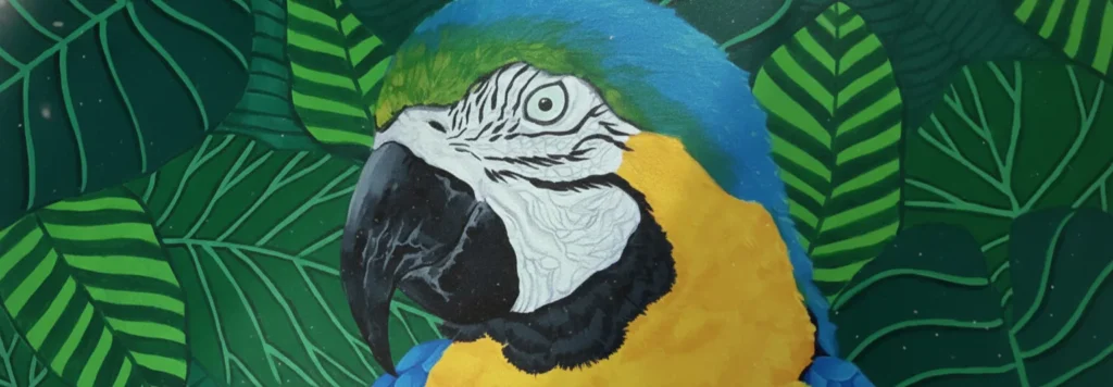 national birdwatching day salim ali art crop