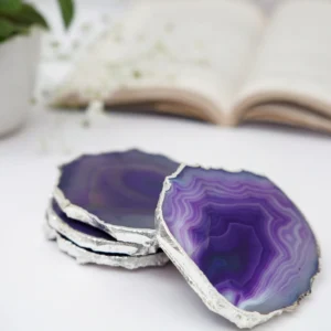 Winter-2026-Landing 28 Brazilian Agate Coaster Silver Plated Set of 4 Purple (3)