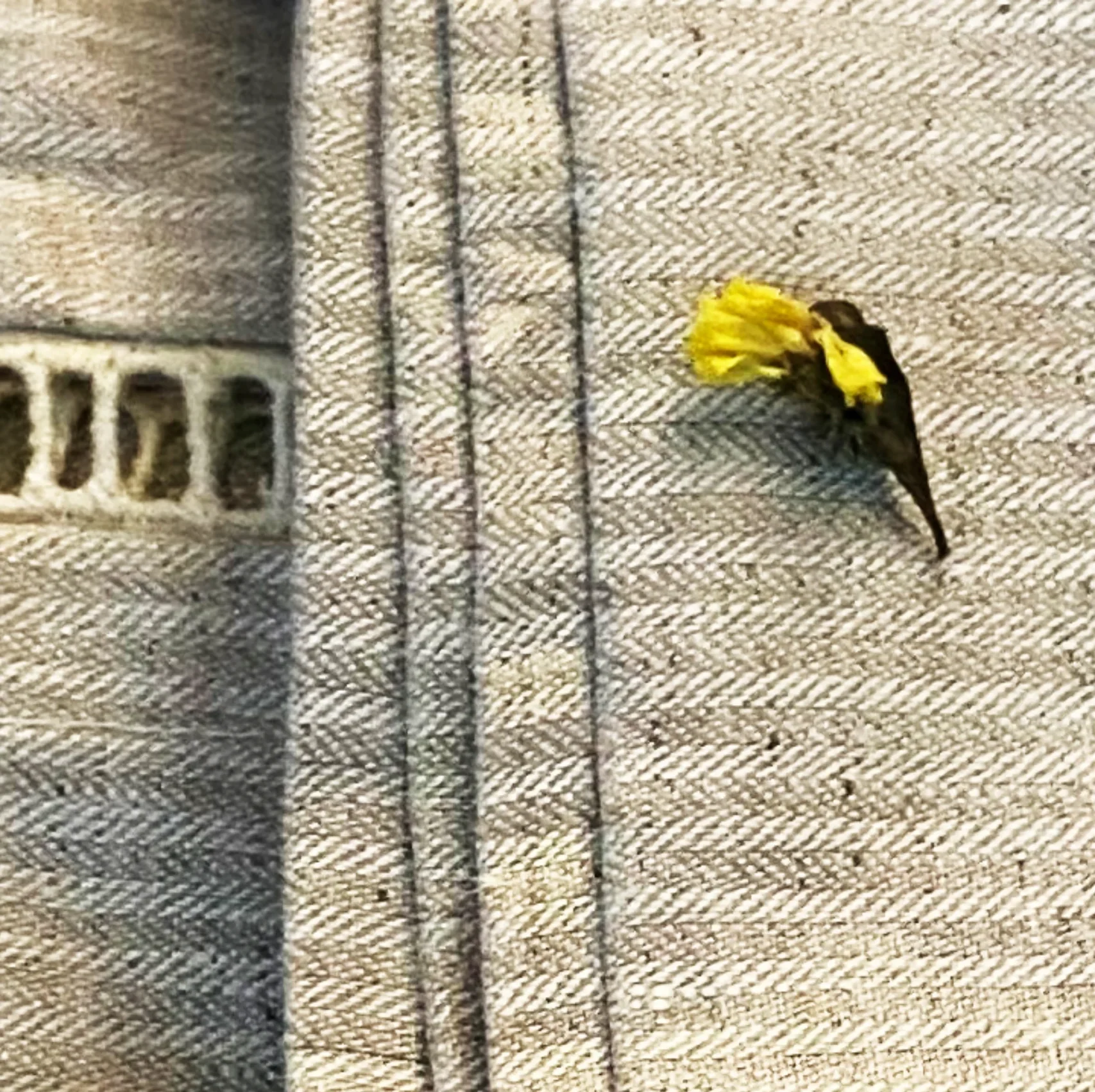 Dharti Hemp Bedsheet Set 1 Dharti Hemp Bedsheet Set (4)