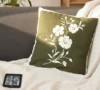 Primula Cushion D